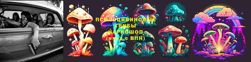 Псилоцибиновые грибы MAGIC MUSHROOMS  магазин продажи наркотиков  дарк нет официальный сайт  Луза 